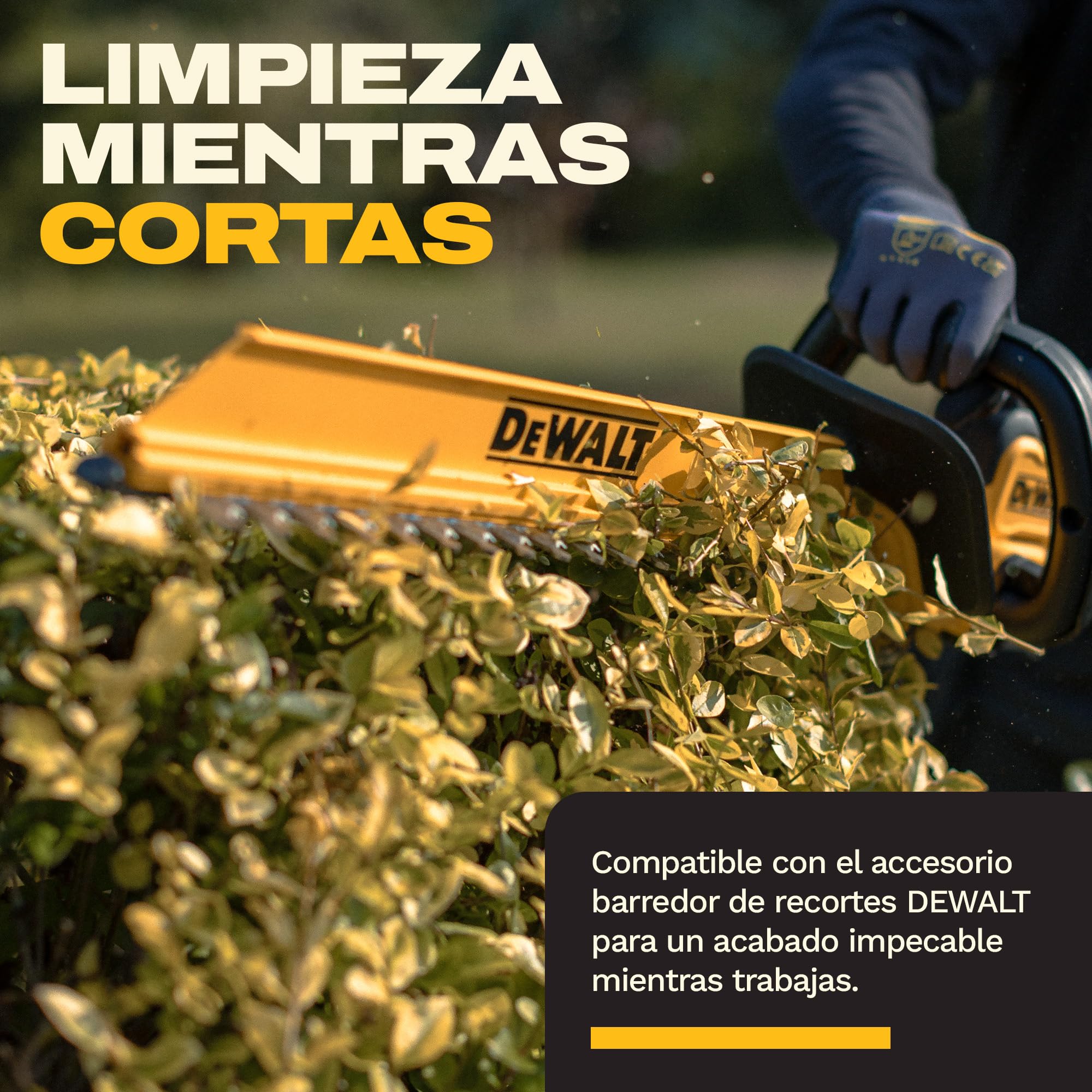 DEWALT Cortasetos 18V XR, diseñado para Cortes rápidos y precisos con su Robusta Cuchilla de 55 cm y Espacio de 19 mm, DCMHT562N-XJ.