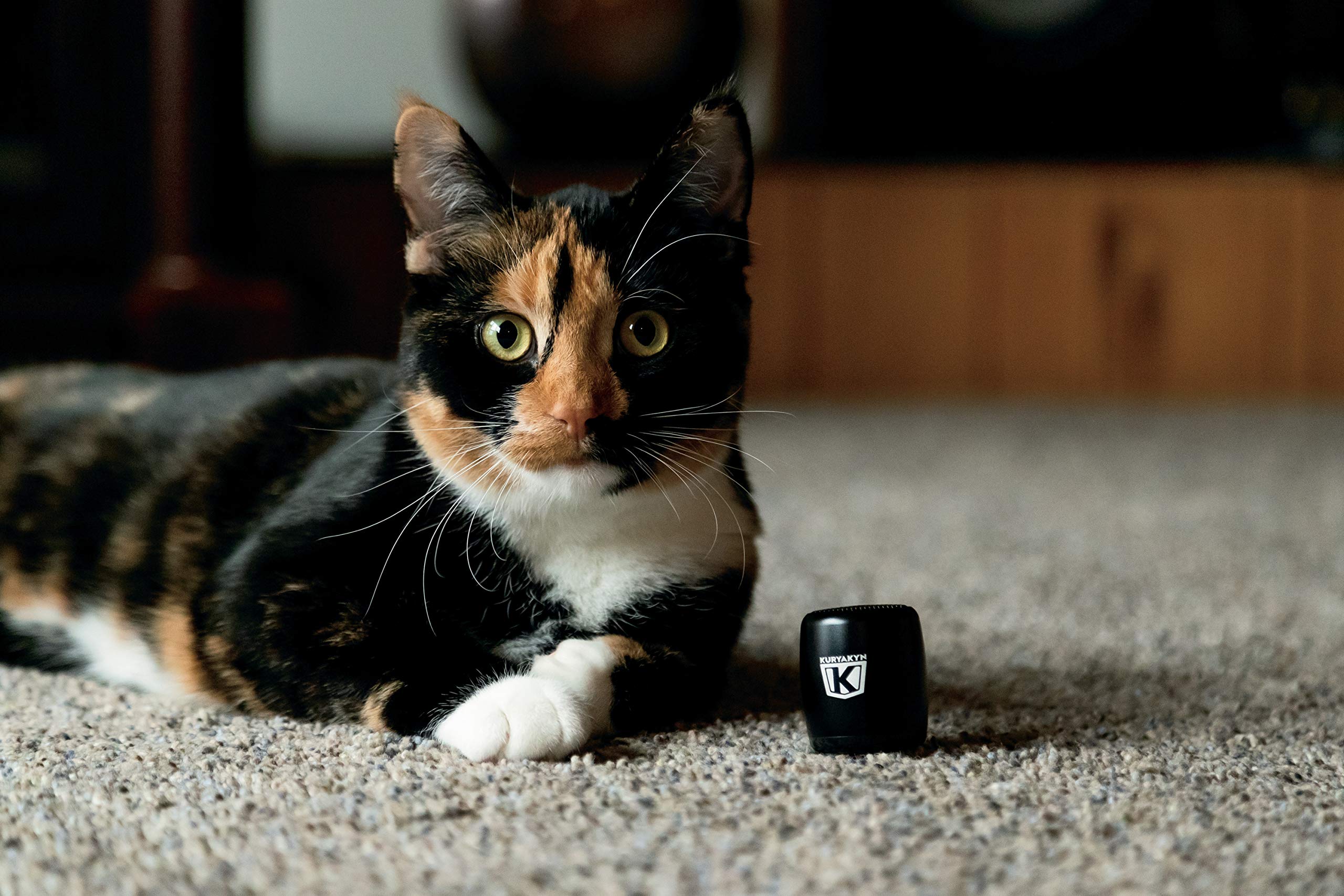 Kuryakyn 2204 Sidekix Mini Speaker: Wireless Audio Speakers with Bluetooth, Remote Shutter, Satin Black 3