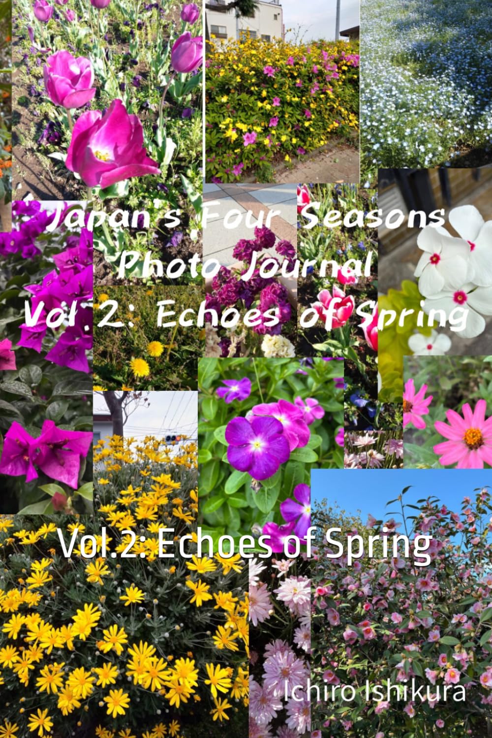 Japan's Four Seasons Photo Journal: Vol.2: Echoes of Spring