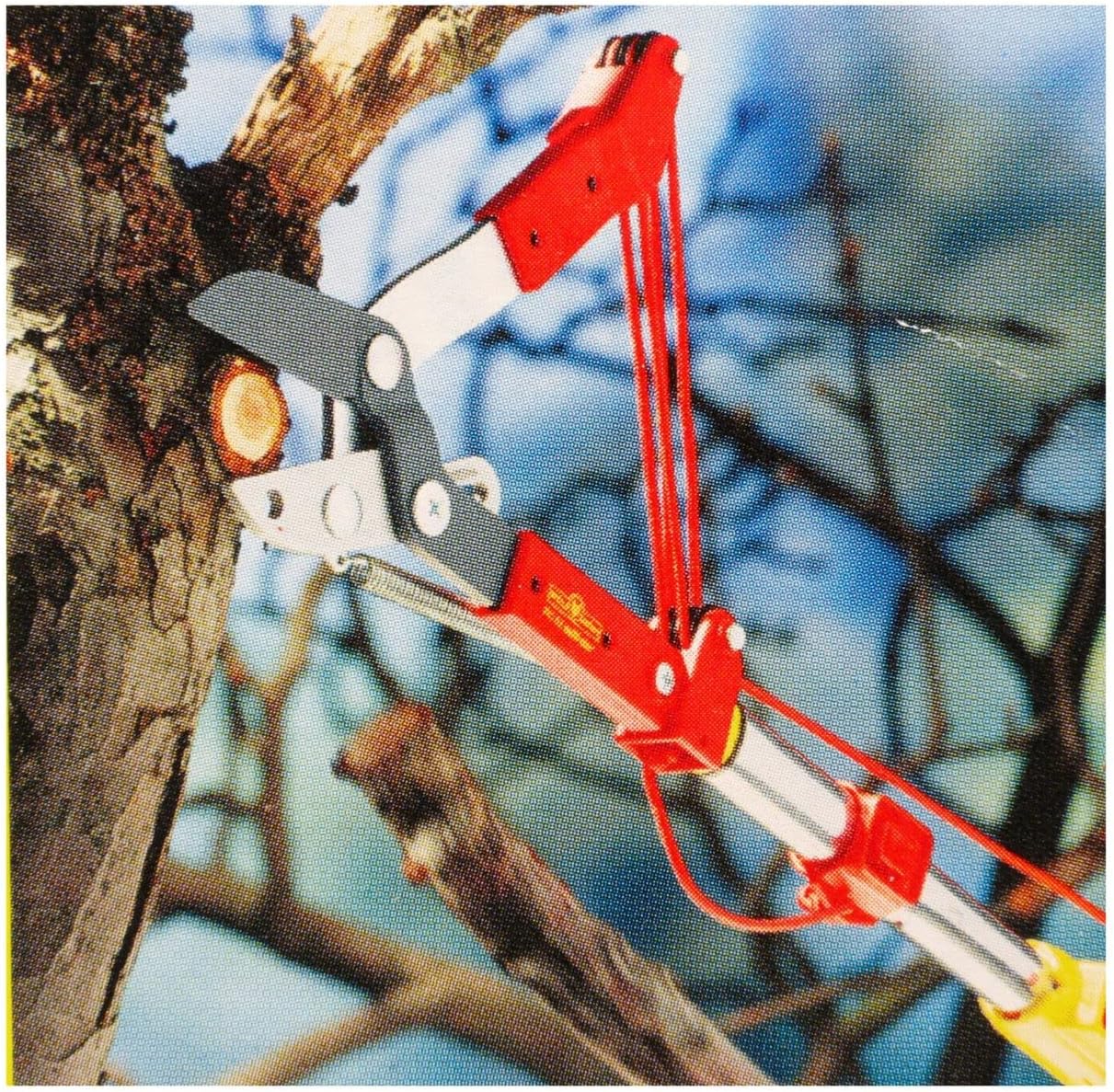 Wolf-Garten RCM Multi-Change Anvil Tree Lopper
