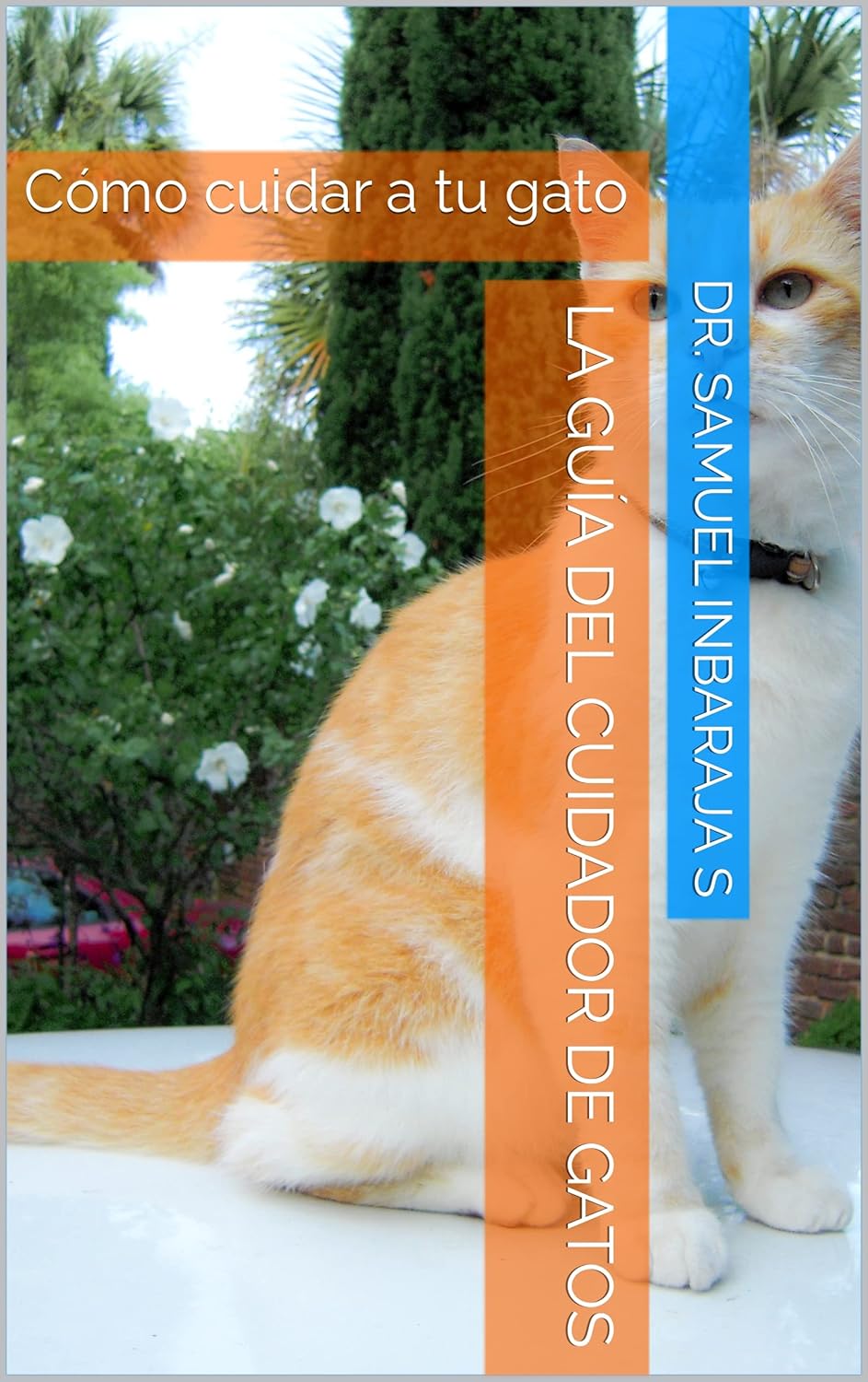 La guía del cuidador de gatos: Cómo cuidar a tu gato eBook : Inbaraja S ...