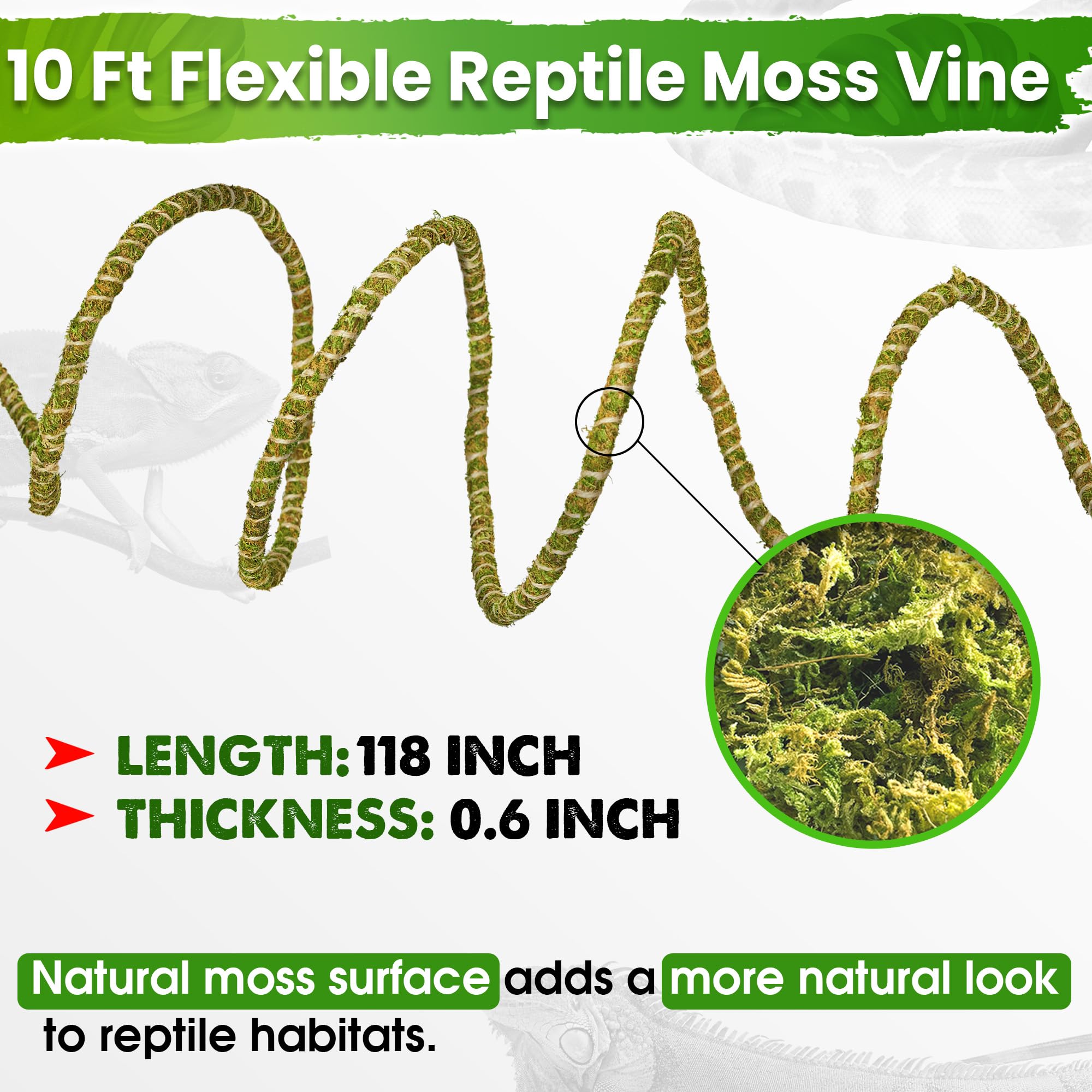 Duspro Vides de reptiles de 10 pies para trepar ramas flexibles para reptiles, cuerda de musgo natural, decoración de selva para dragón barbudo, accesorios de tanque de camaleón, terrario de