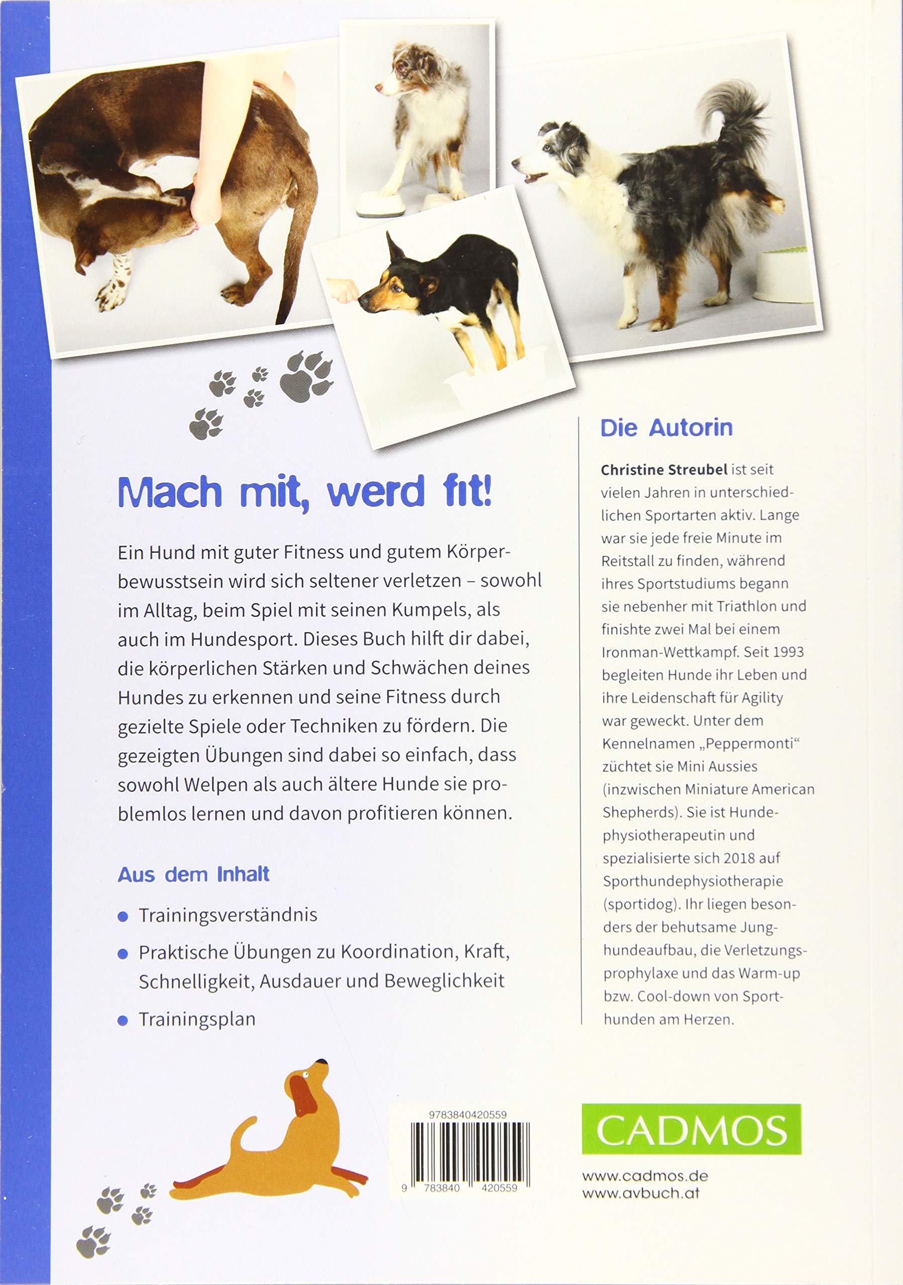 Hundeturnen: Spielerische Fitnessübungen einfach erklärt