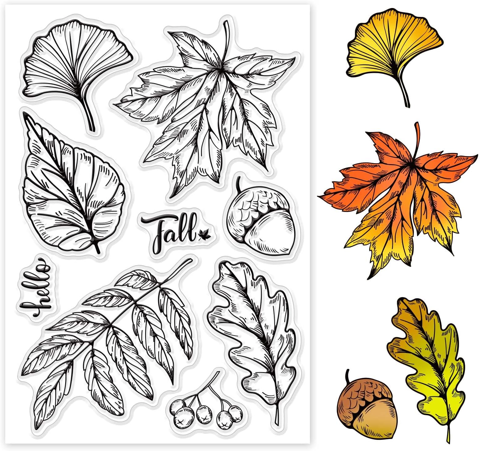 GLOBLELAND Hello Autumn Silicone Clear Stamp Maple Leaf Transparent Silicone Stamp Acorn and Fallen Leaf Rubber Stamp for Scrapbook Journal Card Making…