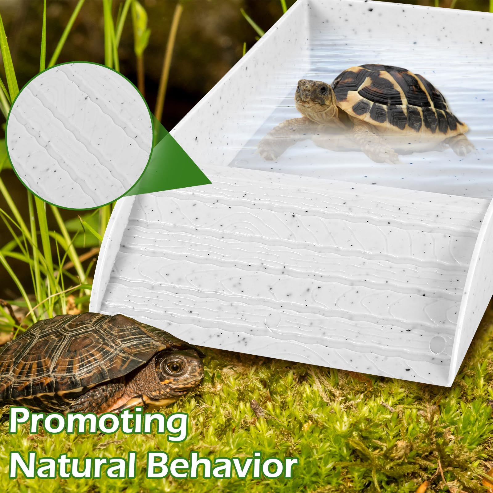 Tortoise Water Dish, Tortoise Bath Dish, 36x20x6cm Anti Slip Reptile Pool Bowl with Ramp,Reptile Feeding Box Dish - Image 4