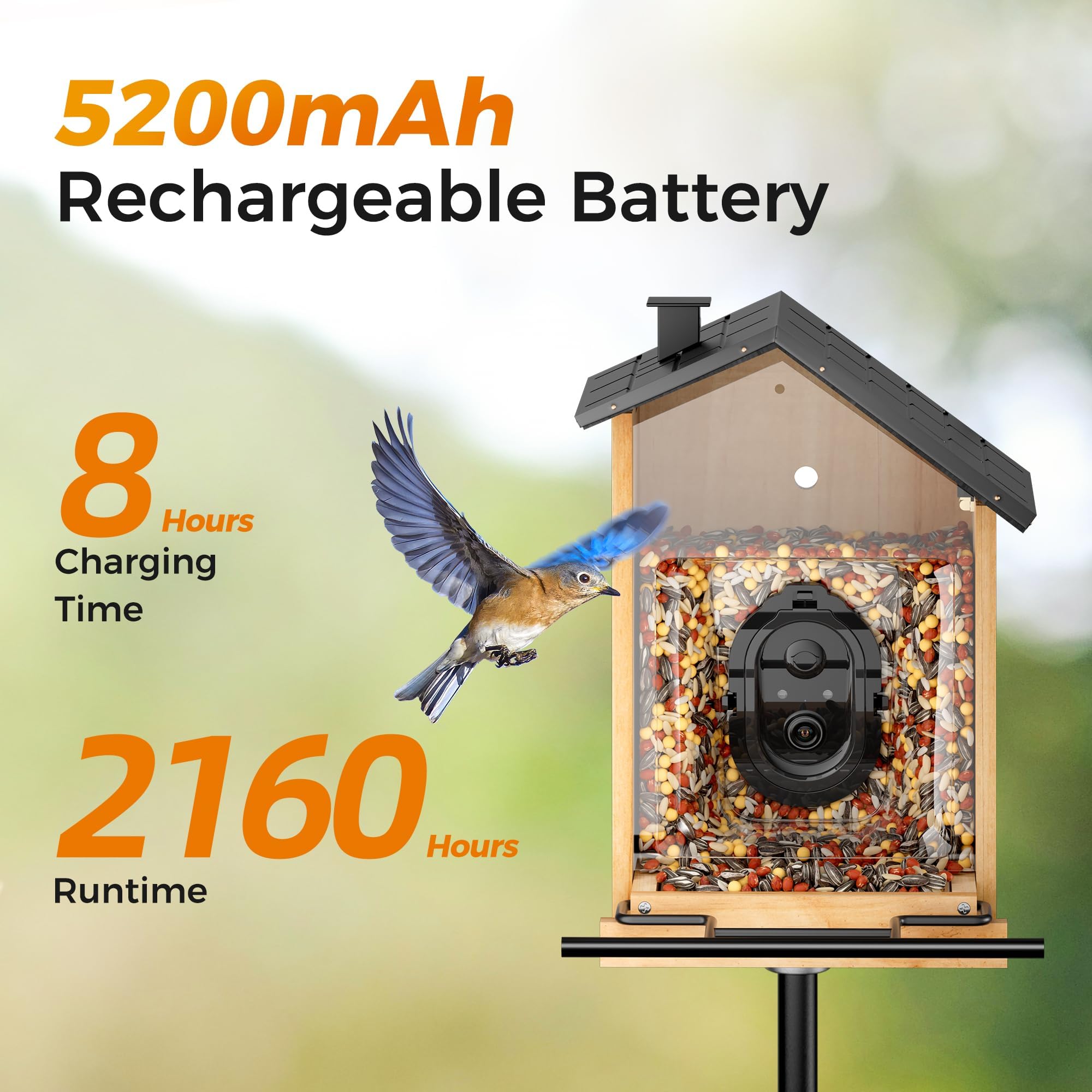 Amazon.com: Bird Feeder with Camera, BBPECO Smart Bird House