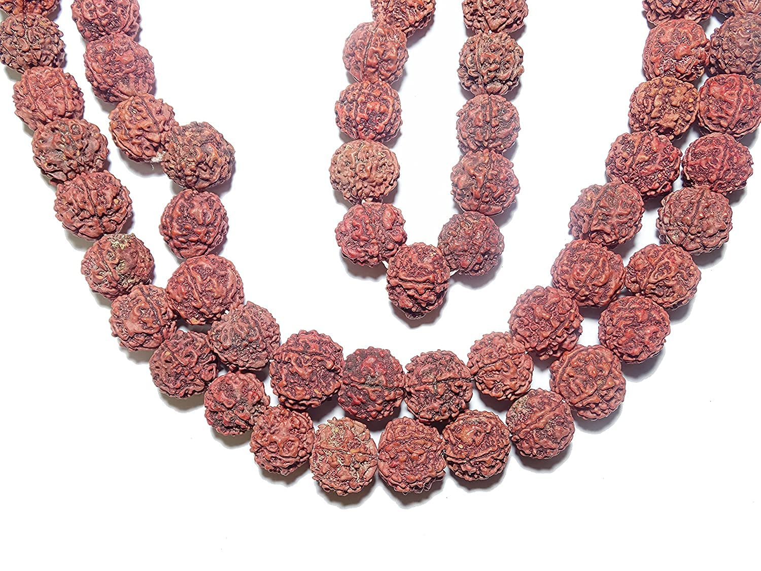 FIRMUS Pure 5 Mukhi Rudraksha Mala (17-20mm, Big Size, 108+1 Beads, Brown) (Pack of-2)-image-9