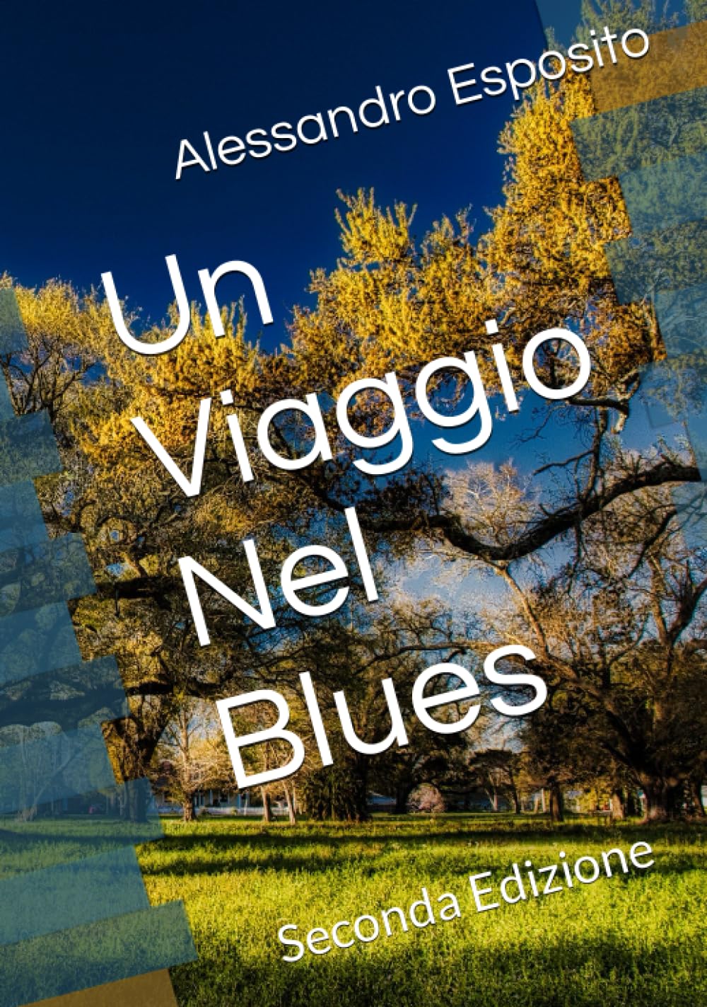 Un Viaggio Nel Blues: Seconda Edizione