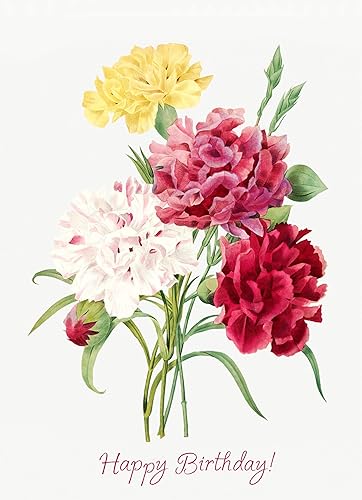 Miniatura 10 de PIXILUV Tarjeta de felicitación de feliz cumpleaños ~ Elegante orquídea blanca flores Vintage ilustración ~ Deseos de cumpleaños Vintage Tarjeta