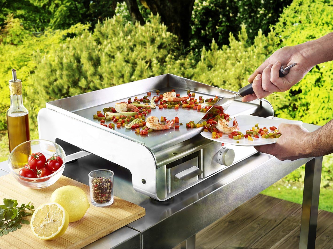 lagrange Spatula/Scraper