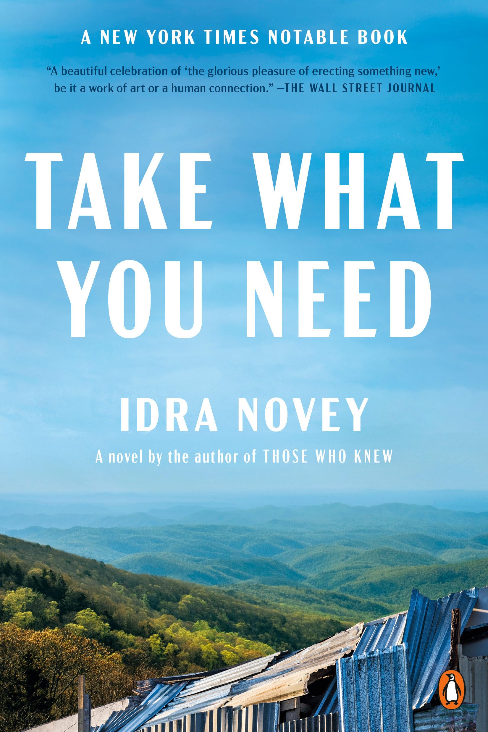 Take What You Need: A Novel Paperback – February 27, 2024