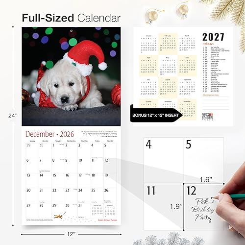 Miniatura 5 de RED EMBER Golden Retriever Puppies 2024 Calendario mensual de pared colgante  12 x 24 pulgadas abierto  Papel grueso y resistente  Regalo  Lindo