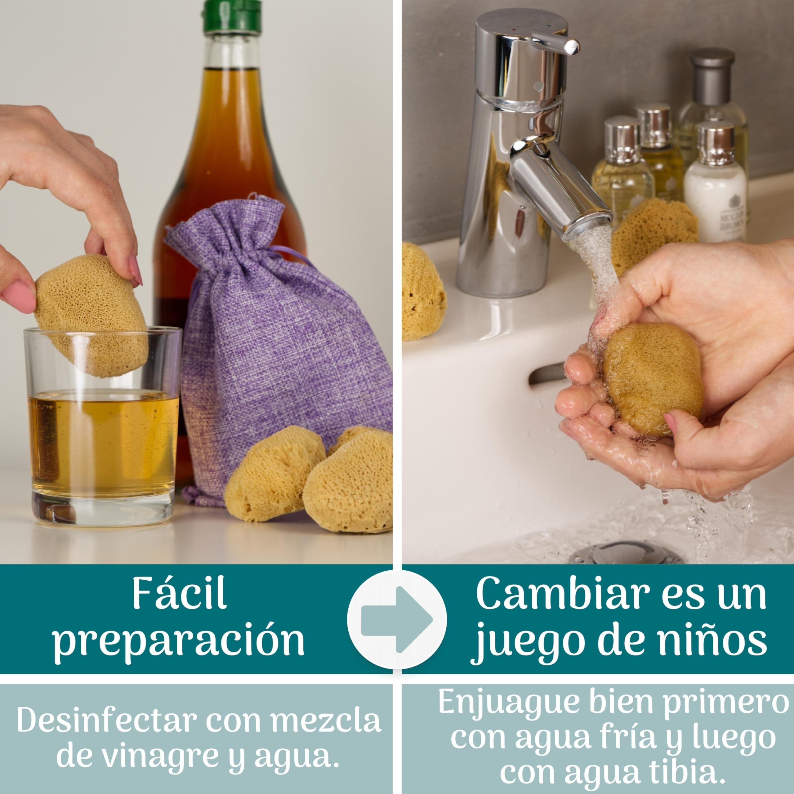 tom&pat® Esponja menstrual natural • alternativa a tampones • lavable y reutilizable • Dermatest excelente • caja hermética de viaje • calidad mediterránea Grecia (Talla S / 5 x 3-5 cm)