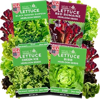 NatureZ Edge Heirloom Lettuce Seeds: 4 Non-GMO Varieties - Red Romaine, Bibb Butter, Black Seeded Simpson, Green Ice | Hydroponic & Garden Ready