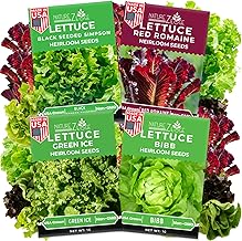 NatureZ Edge Lettuce Seeds for Planting, 4 Popular Varieties Non-GMO Heirloom Seeds, Red Romaine, Bibb Butter, Black Seeded Simpson, Green Ice Lettuce, Romaine, Salad Lettuce, Hydroponic Garden, USA