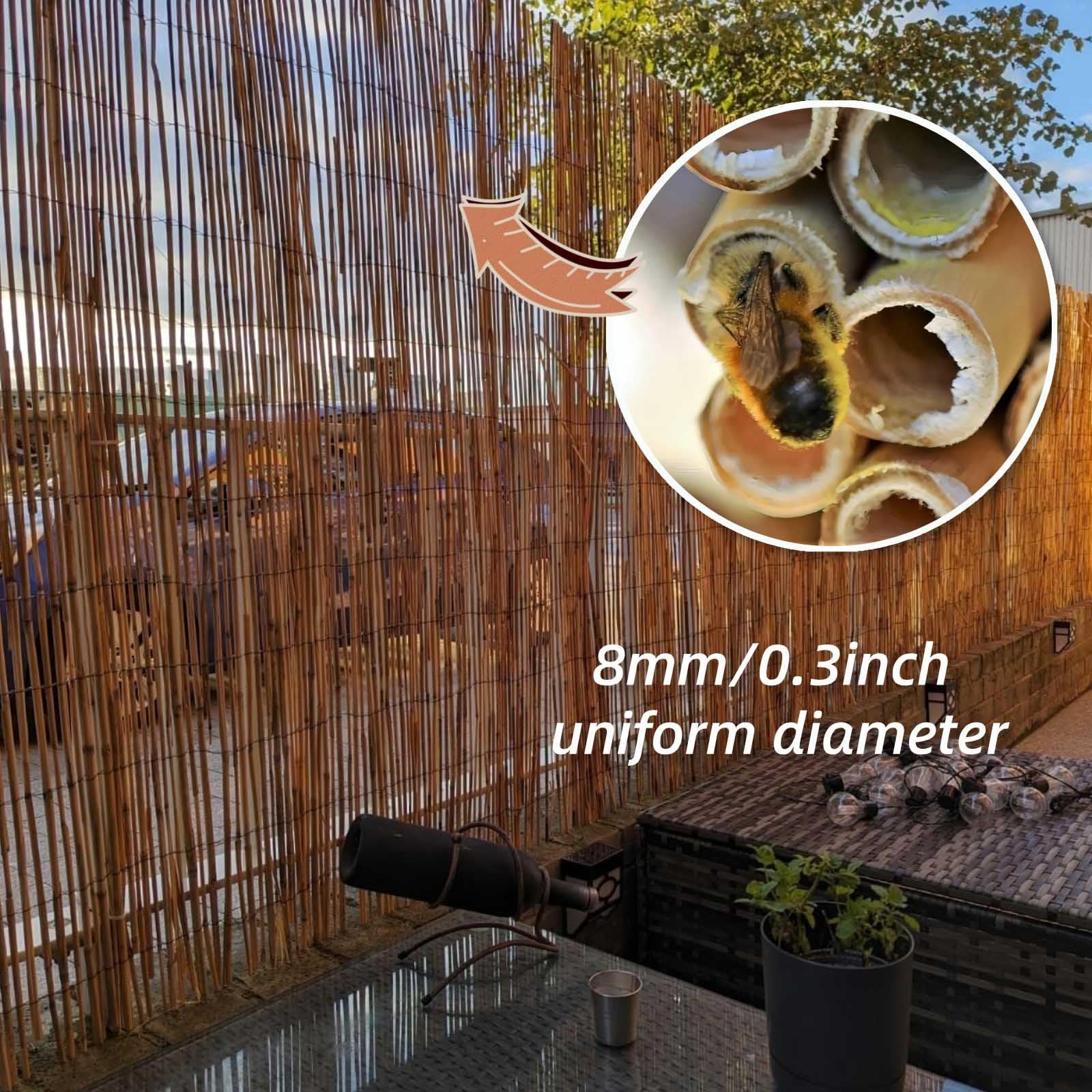 Amazon.de: Schilfmatten Natrlicher Bambus Sichtschutz Schilfrohrmatte  Bambuszaun 80cm 90cm 100cm 120cm 150cm 160cm Hoch Schilfrohr Windschutz  Zaun Natur Wetterfest