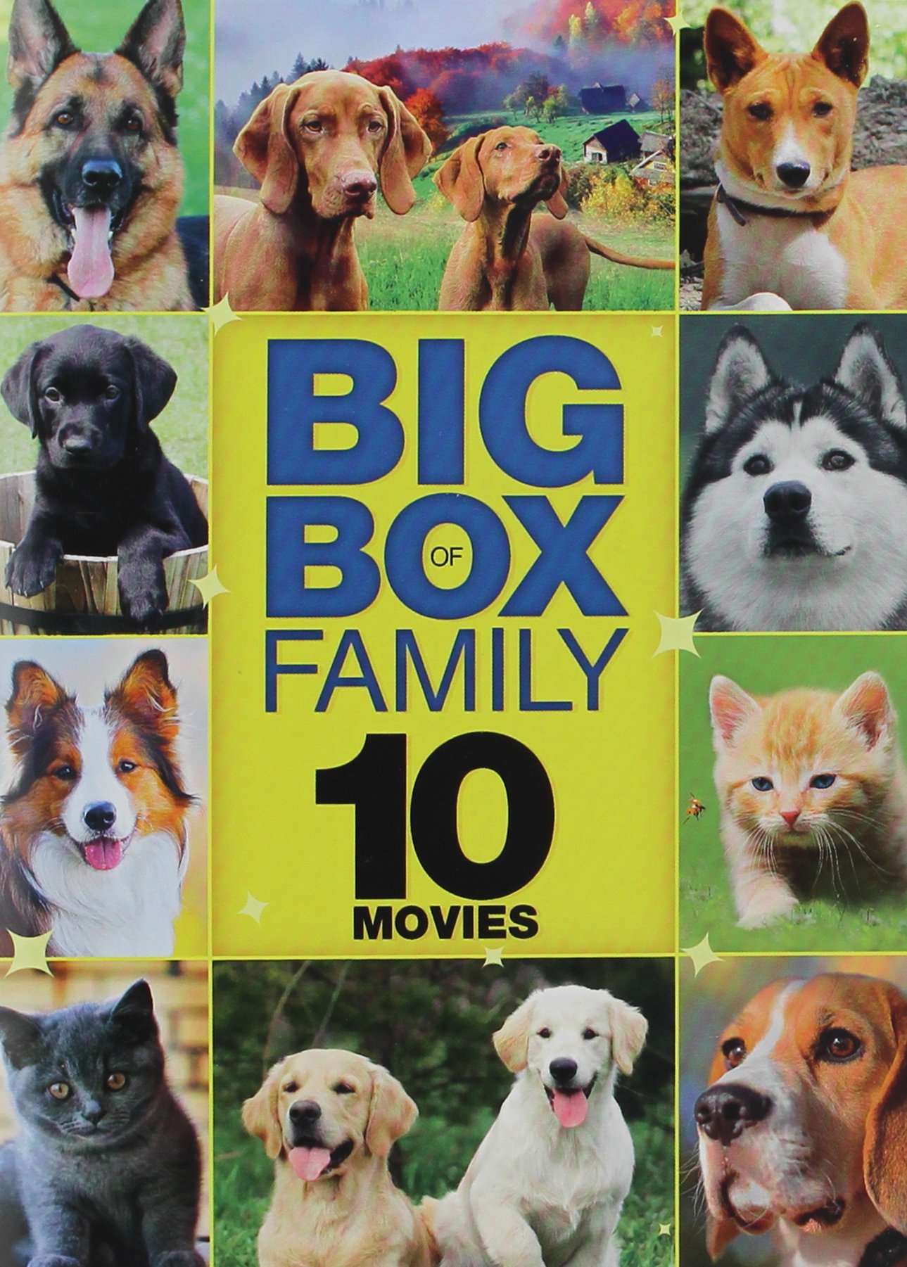 Amazon.com: 10-Film Big Box of Family: Volume 3 : Movies & TV