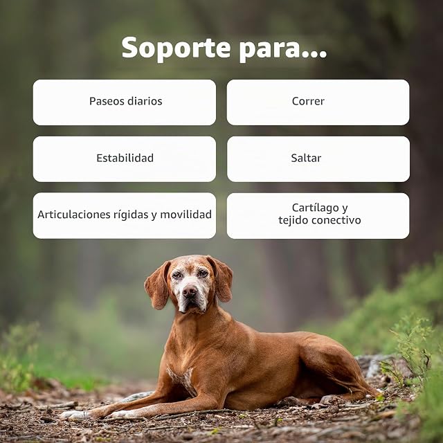 Foto 2 de 6 de Zesty Paws Suplemento para Movilidad de Cadera y articulaciones de Perros