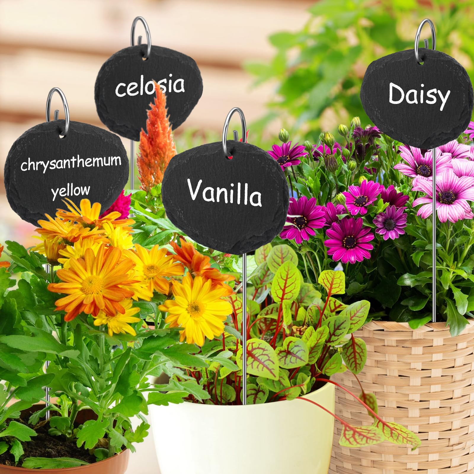 Poeland Placas de pizarra para plantas | resistentes a la intemperie, reutilizables, juego de 10 carteles de pizarra con varilla de metal ovalada