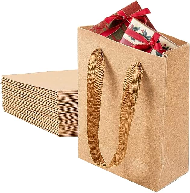 10 Pcs Small Gift Bag Brown Paper Bag Kraft Paper Lunch Bags Carrier Bags Treat Candy Large Gift Bag Recycled Bulk Paper Retail Bags with Handles for Birthday, Wedding, Party Celebrations, 17x13x6cm