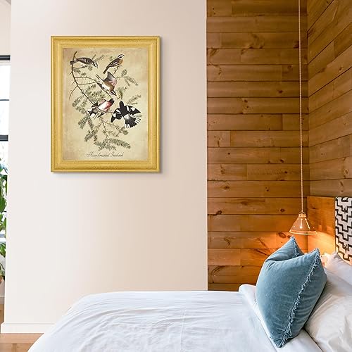 Vista 55 de Towee Bunting by James Audubon - Marco biselado negro de 12 x 16 pulgadas, decoración artística enmarcada para pared, reproducción de pinturas