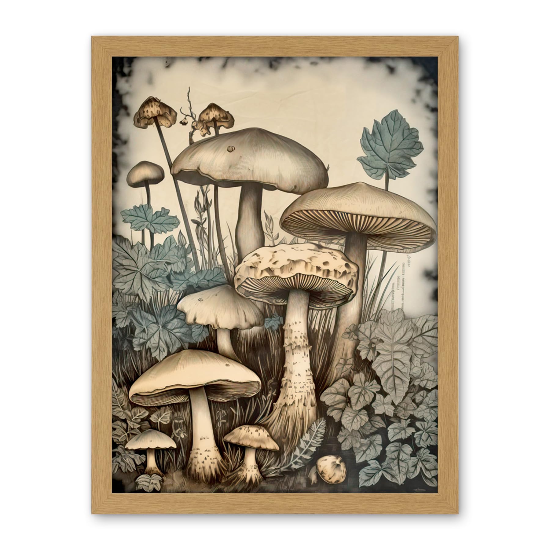 Artery8 Mushroom Fungi Watercolour Vintage Cottagecore Aesthetic Rustic Decor Artwork Framed Wall Art Print 18X24 Inch