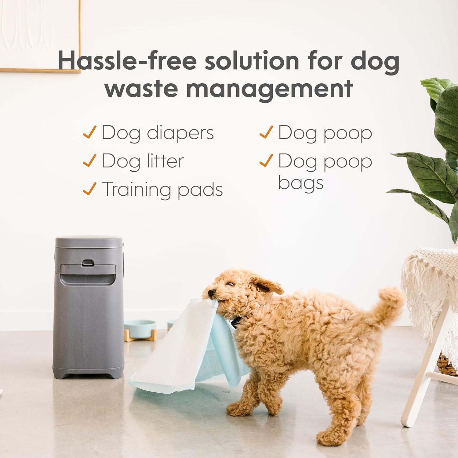Person scooping dog waste directly into Pet Genie Pail