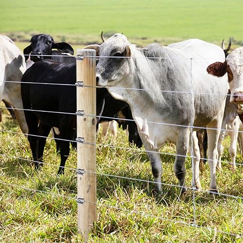 Miniatura 8 de Dolibest 200 clavos para valla de acero inoxidable SUS 304 para maderas blandas, cierres de alambre reutilizables de 2 pulgadas, fáciles de instalar