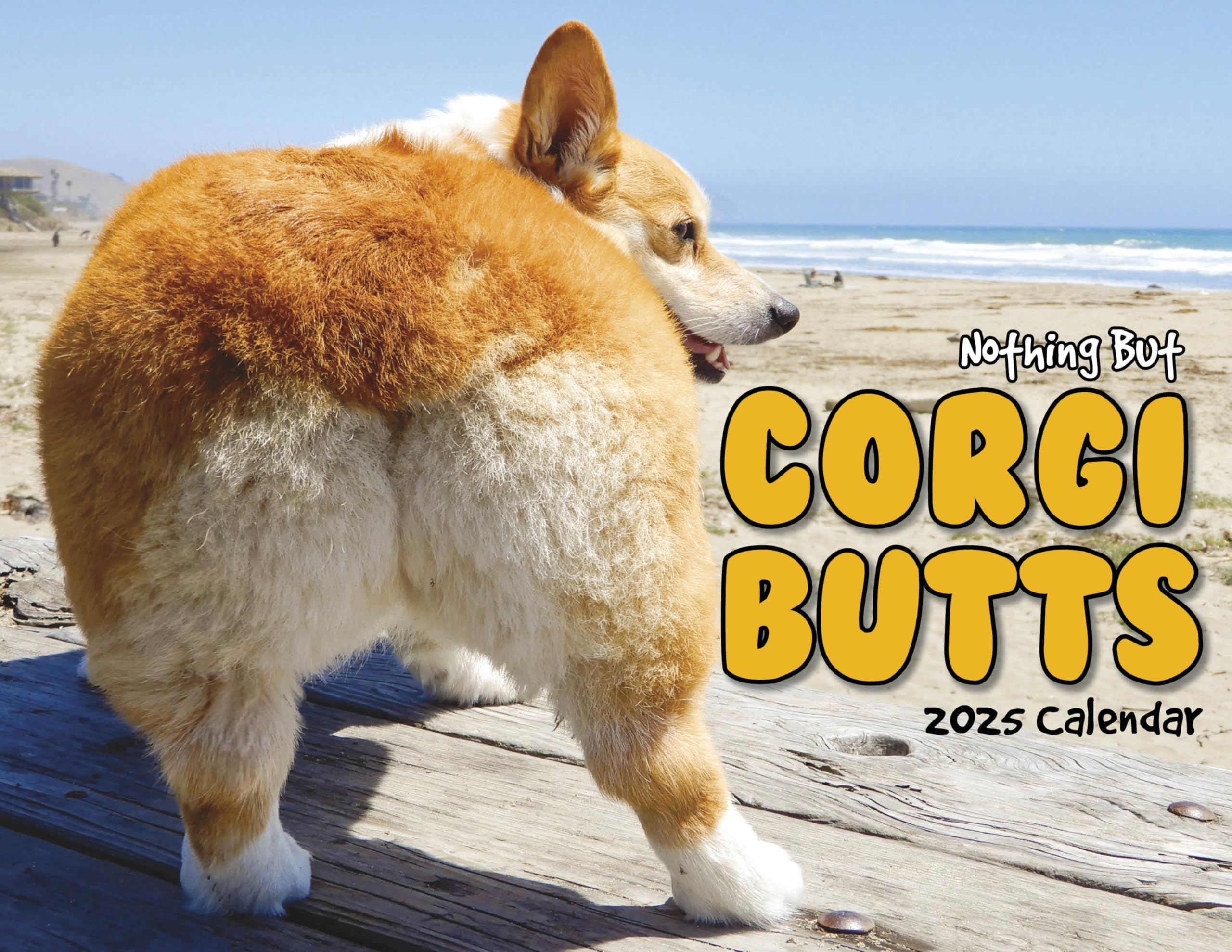 Amazon | Corgi Butts 2022 面白い犬のカレンダー - 犬好きの白い象と