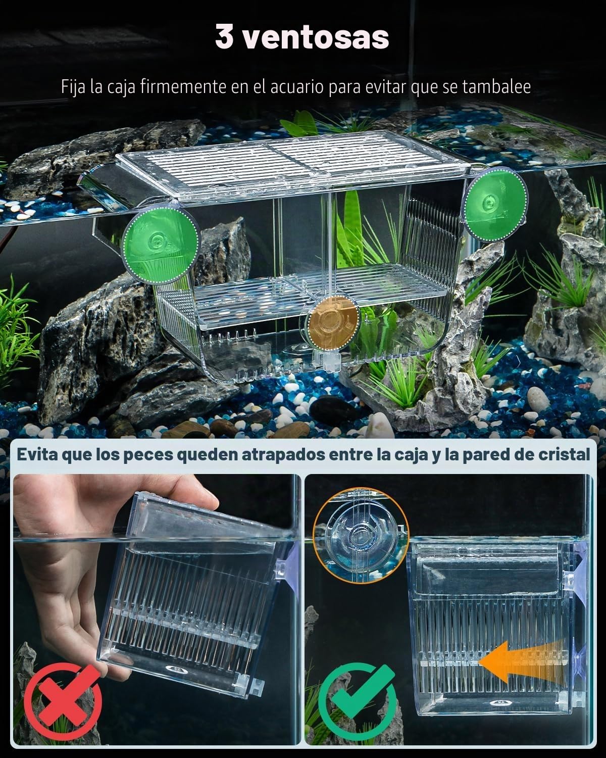 Pawfly Caja de cría de peces de acuario con 6 ventosas de acrílico para peces bebés, camarones, betta, guuppy, platy