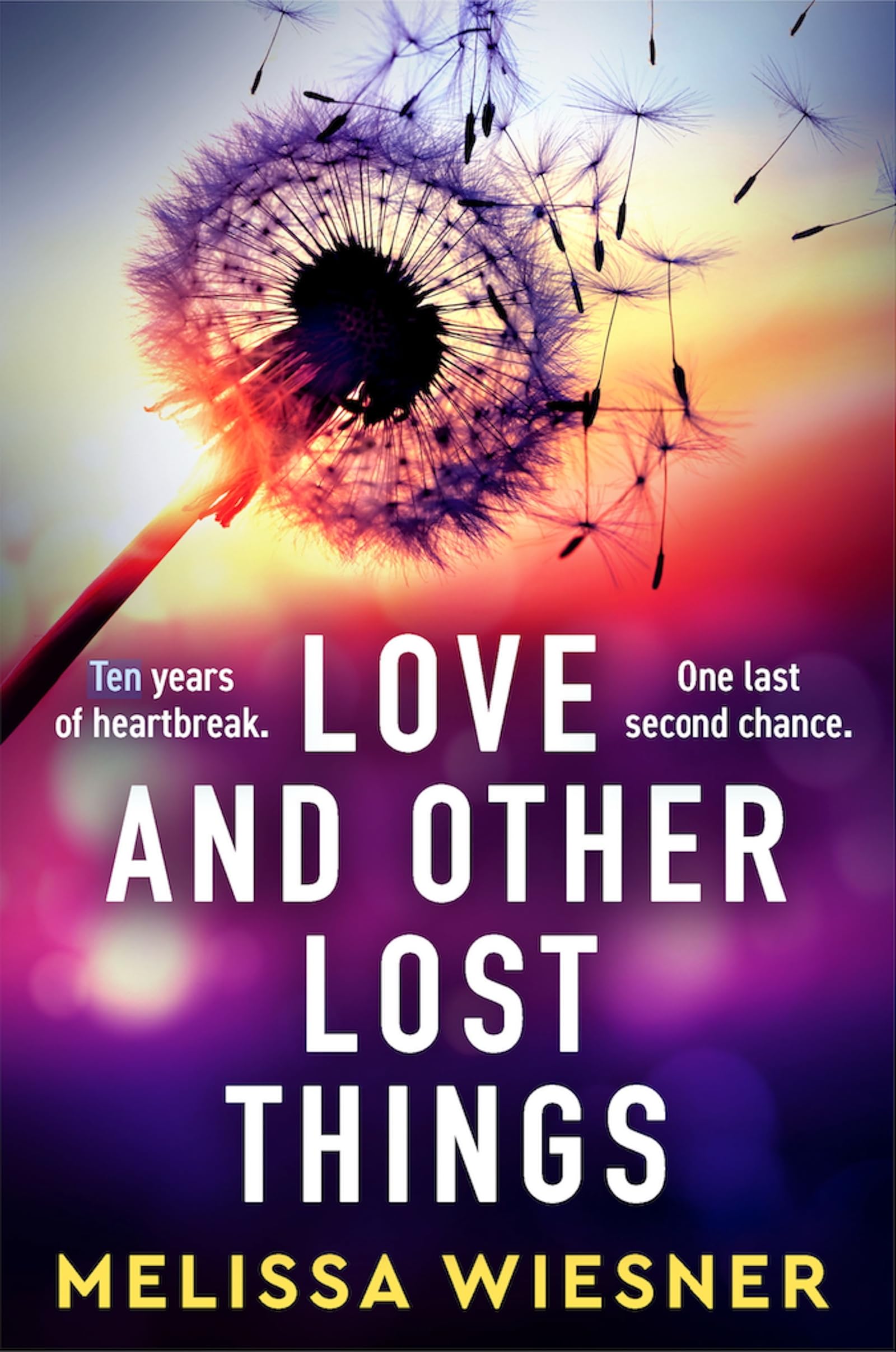 Love and Other Lost Things by Melissa Wiesner Paperback