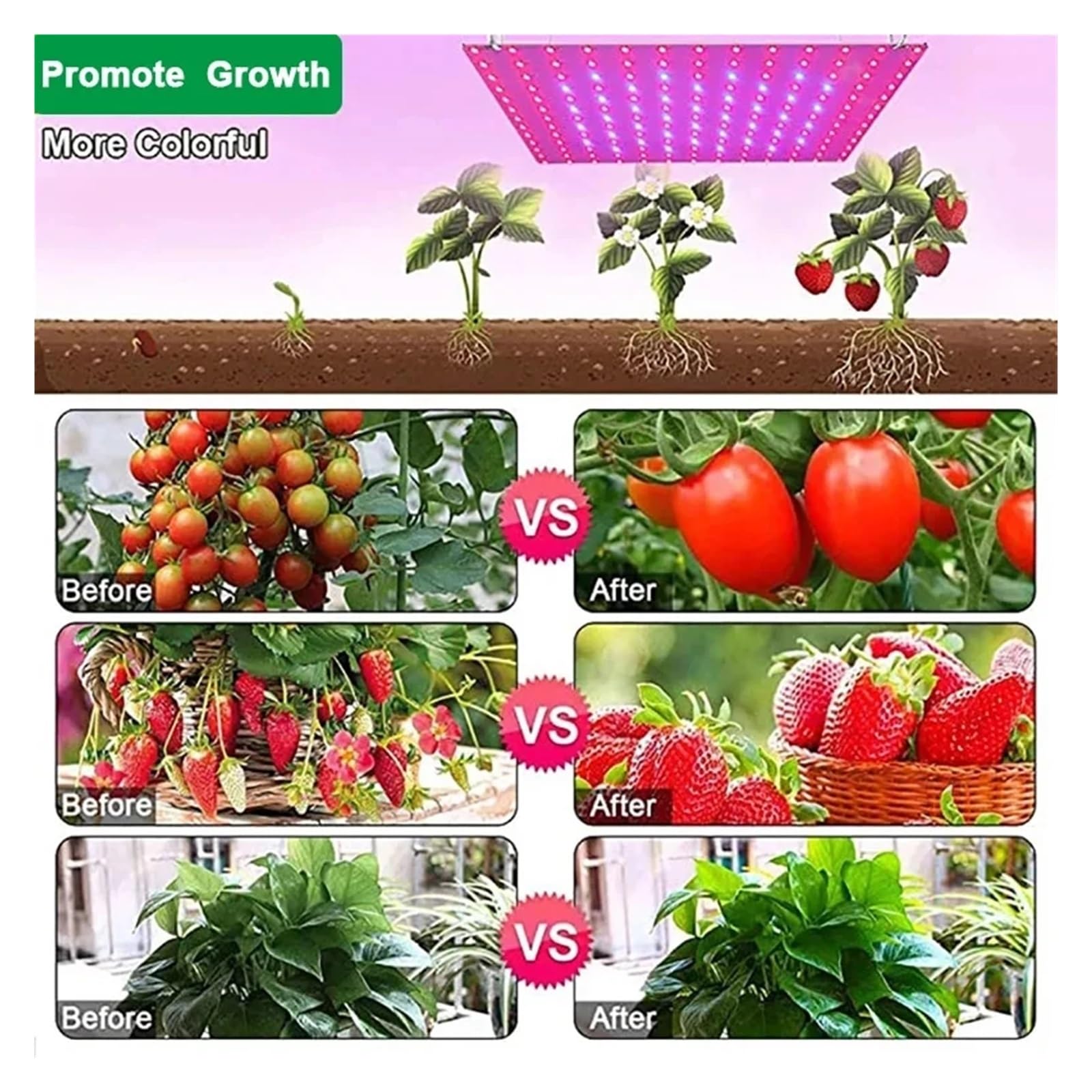 Lámpara de cultivo, Lámpara LED de espectro completo for cultivo, bombilla Phyto, luz for crecimiento de plantas, 1000W, 2000W, luz hidropónica, tienda de semillas de flores for interiores(2000W-A)