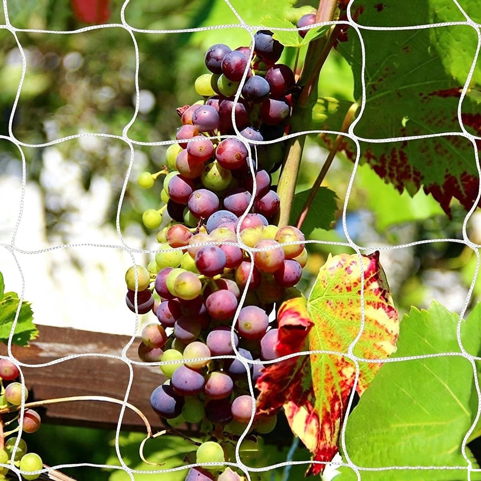 Malla para Plantas Trepadoras, Malla Reutilizable Huerto Malla para Pepinos