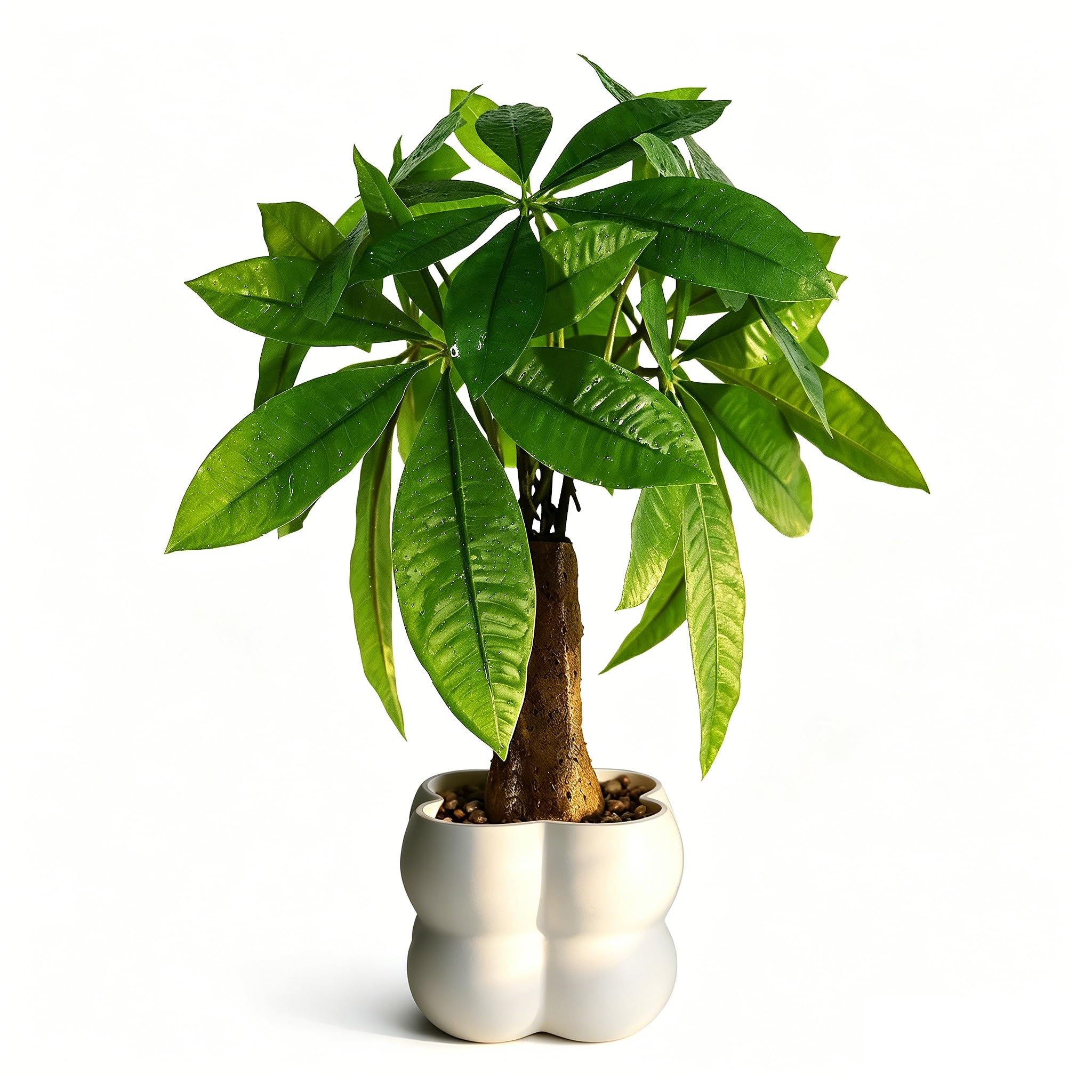 Plante artificielle en pot de 40 cm bonsaï déco pour maison et bureau
