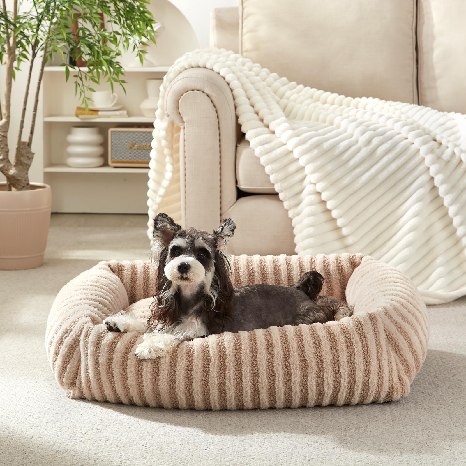 MIXJOY Dog Bed for Small Dogs