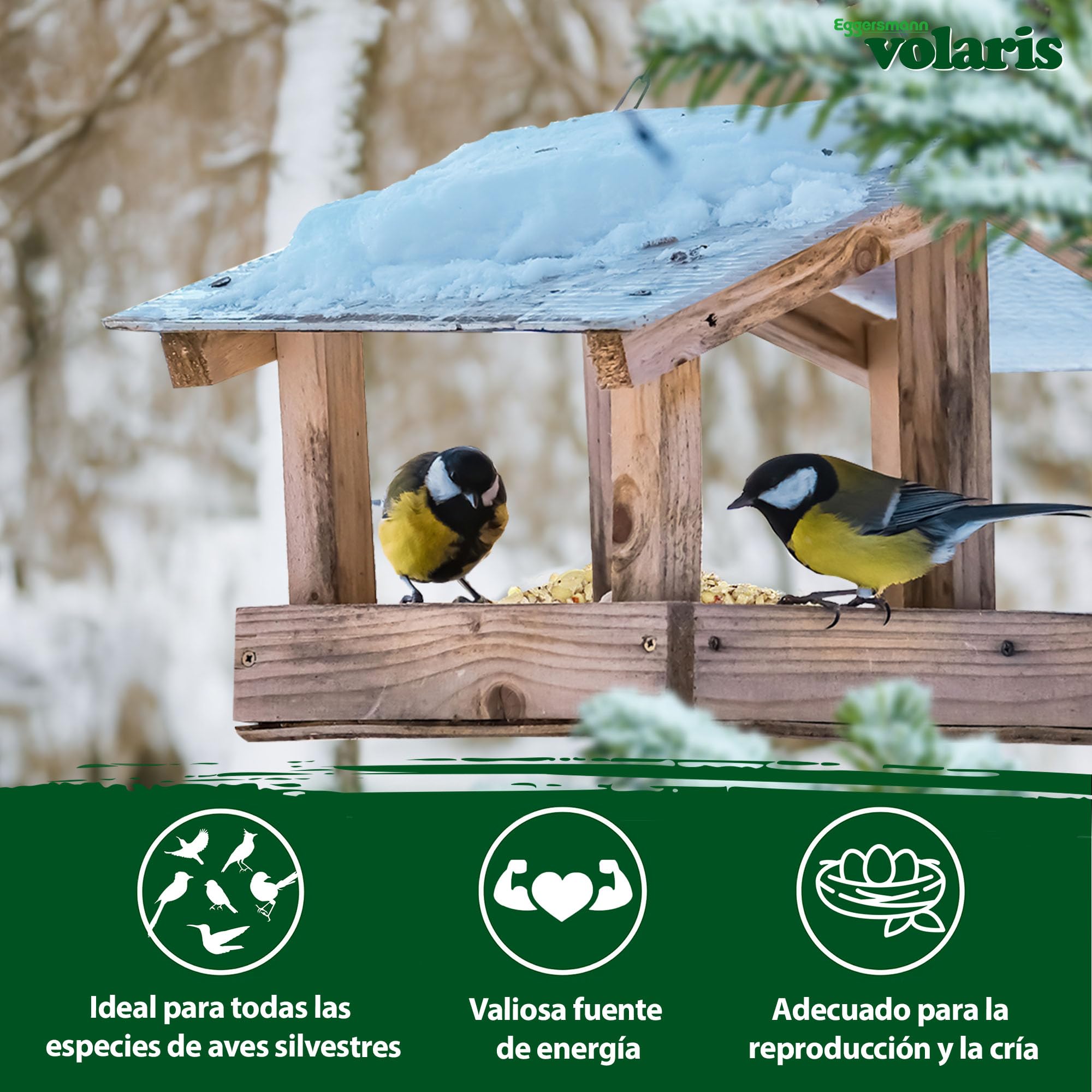Eggersmann volaris Cacahuetes Picados 8 x 2 kg – Comida para Aves Silvestres con energía y proteínas – Núcleos de maní Picados Frescos y Naturales – Alimento para Aves Silvestres
