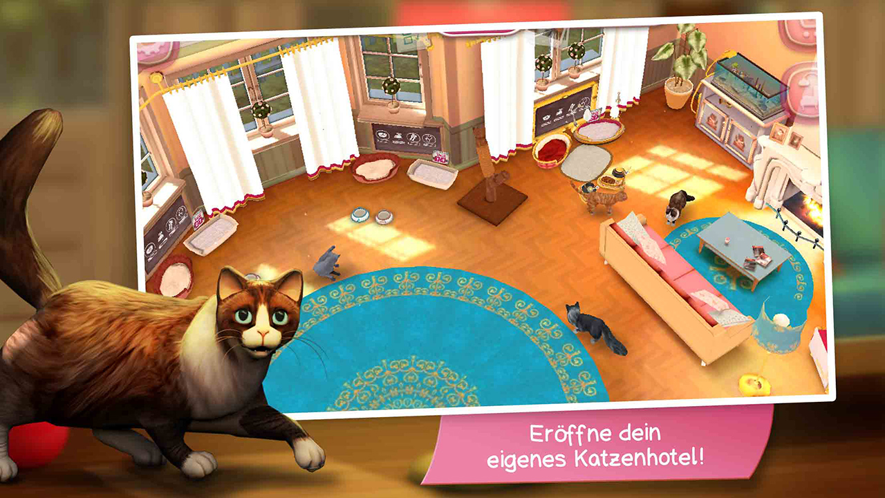 CatHotel - Spiele, schmuse und pflege niedliche Katzen und Kater