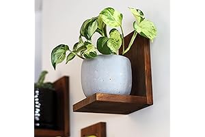 Mid-Century Floating Shelves | 3-Pack | Woodland Brown | Daniel's Plants Indoor...