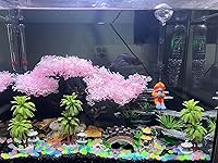 Review Image by Hank Hank