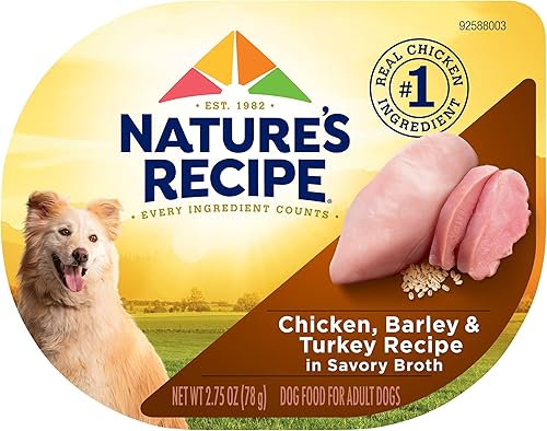 Natures Recipe Comida húmeda para perros receta de pollo y pavo en caldo taza de 275 onzas paquete de 12