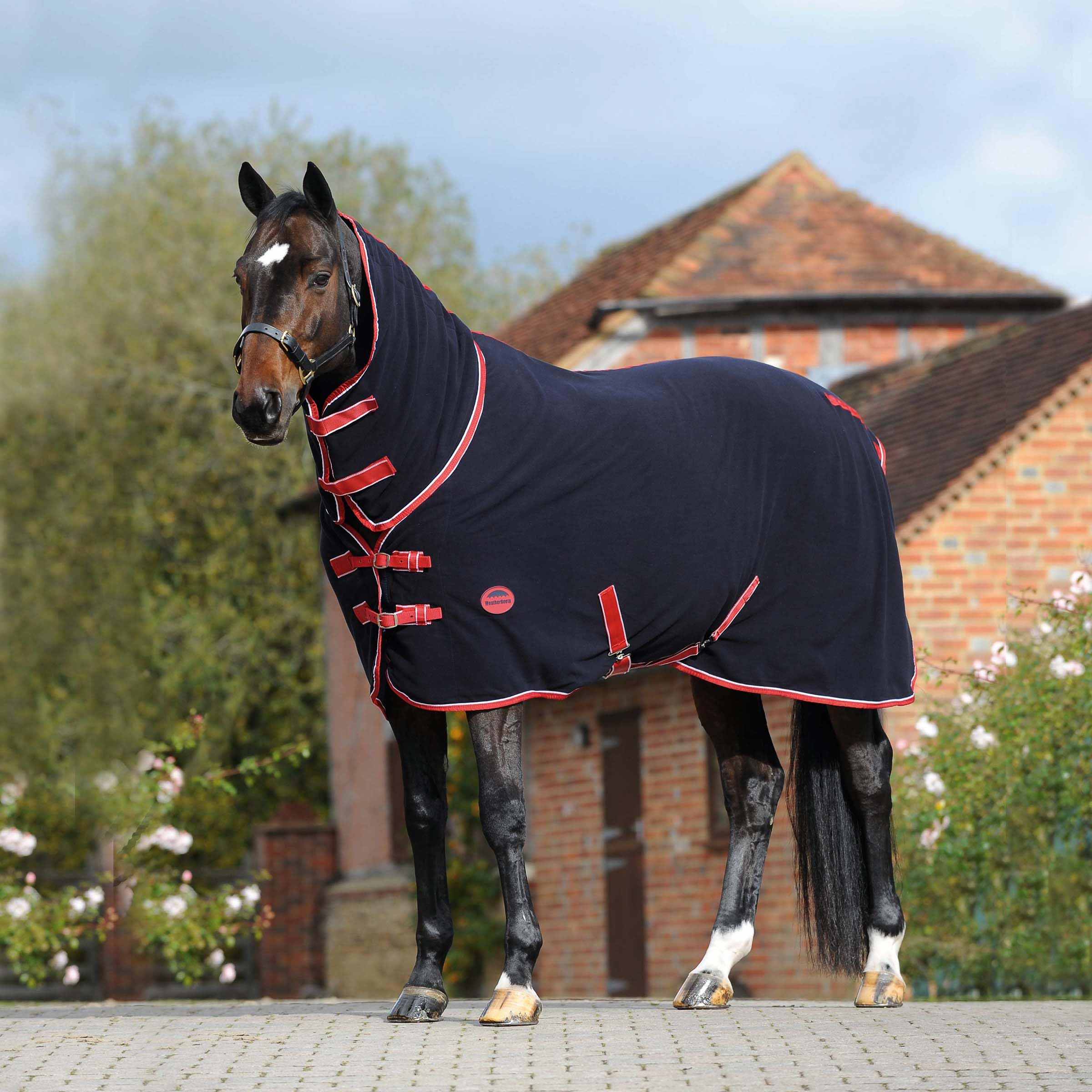 Weatherbeeta - Manta Secante para Caballos de Polar Cuello Combinado