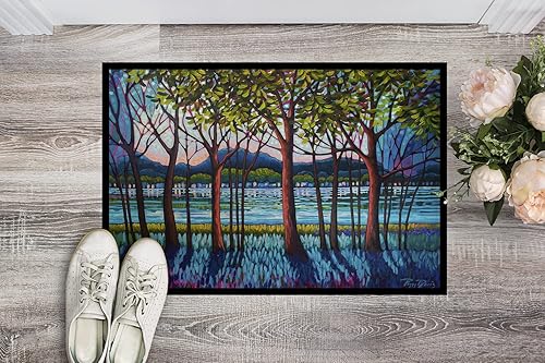 Miniatura 2 de Caroline's Treasures PPD3022JMAT - Tapete para puerta delantera de río tanzanita, 24 x 36 pulgadas, para interiores y exteriores, para entrada,