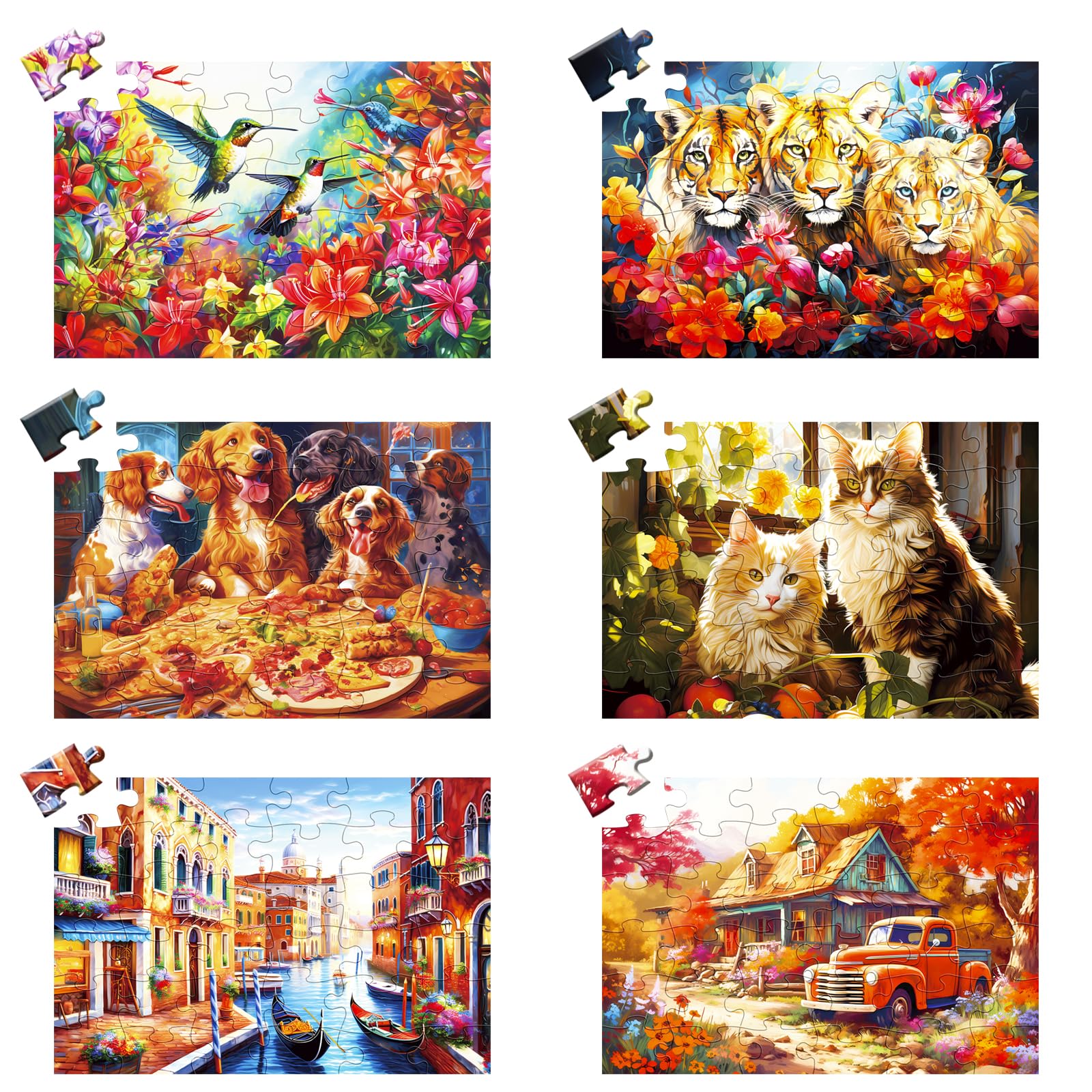 WSCXSC 6-Pack 36 Pieces