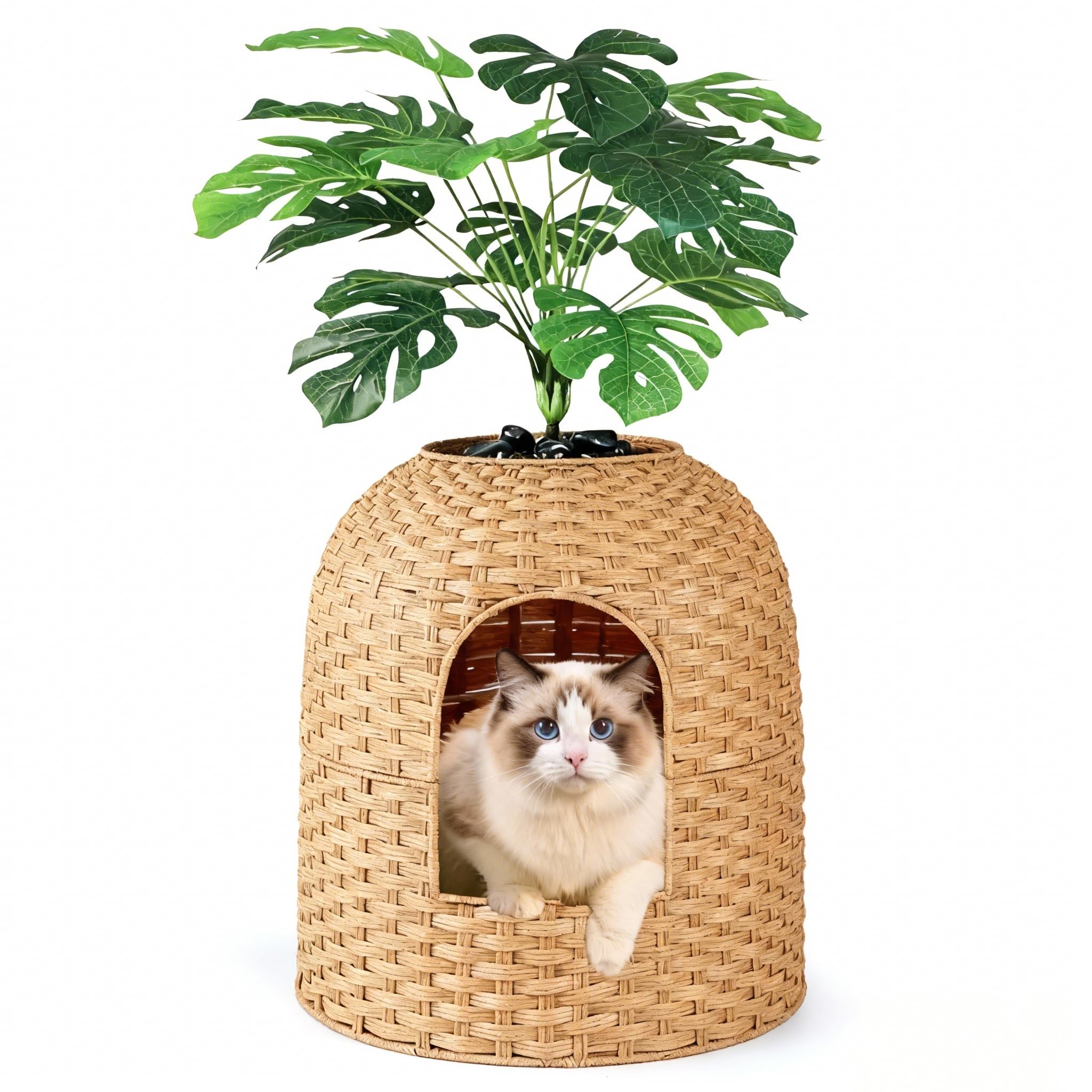 Katzentoilette Versteckte Katzenklo Blumentopf mit Pflanze & Schaufel, Handgeflochtenes Rattan Katzentoilette mit Geruchskontrolle & Kohlefilter (Natur, Gewölbte Tür)