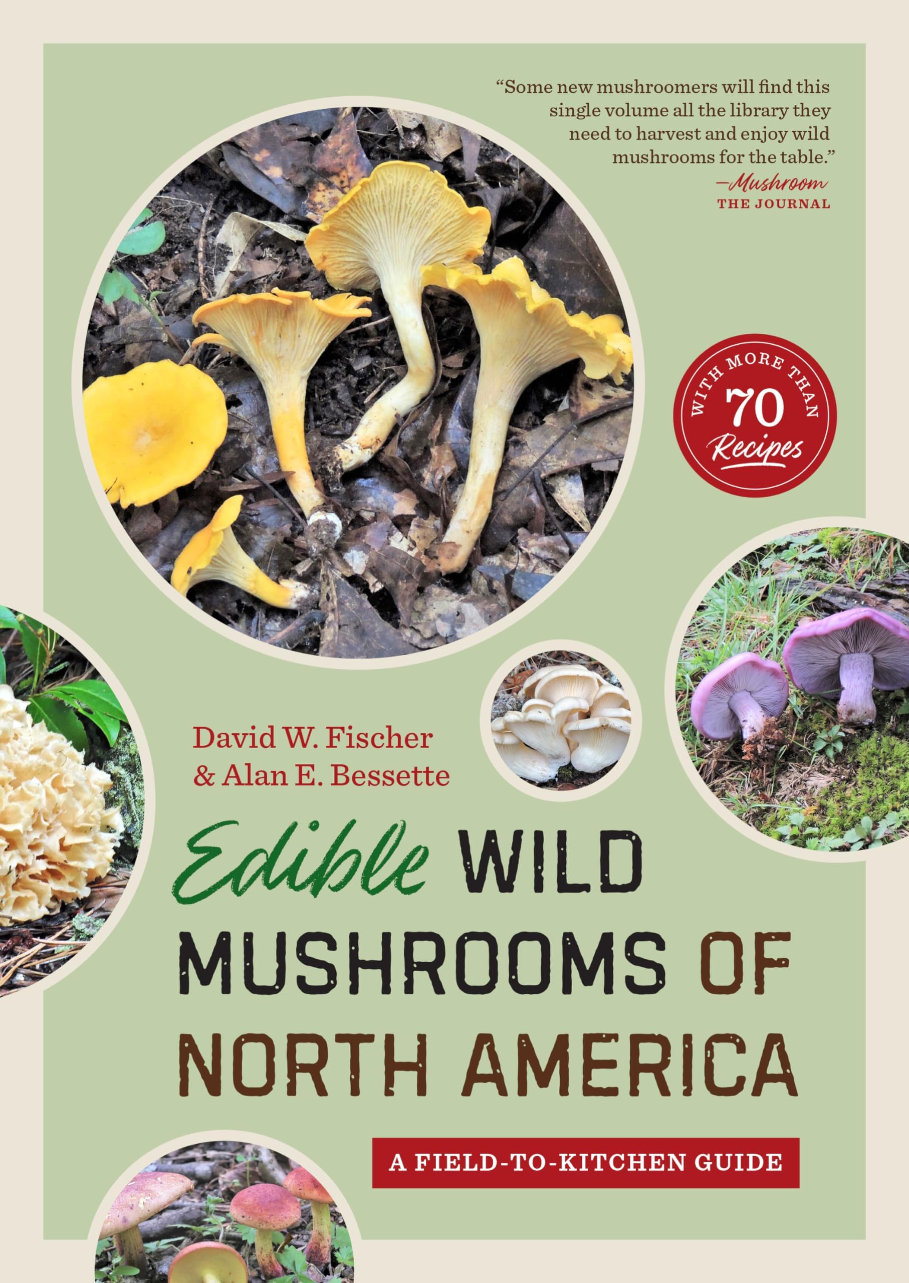 Edible Wild Mushrooms of North America: A Field-to-kitchen Guide