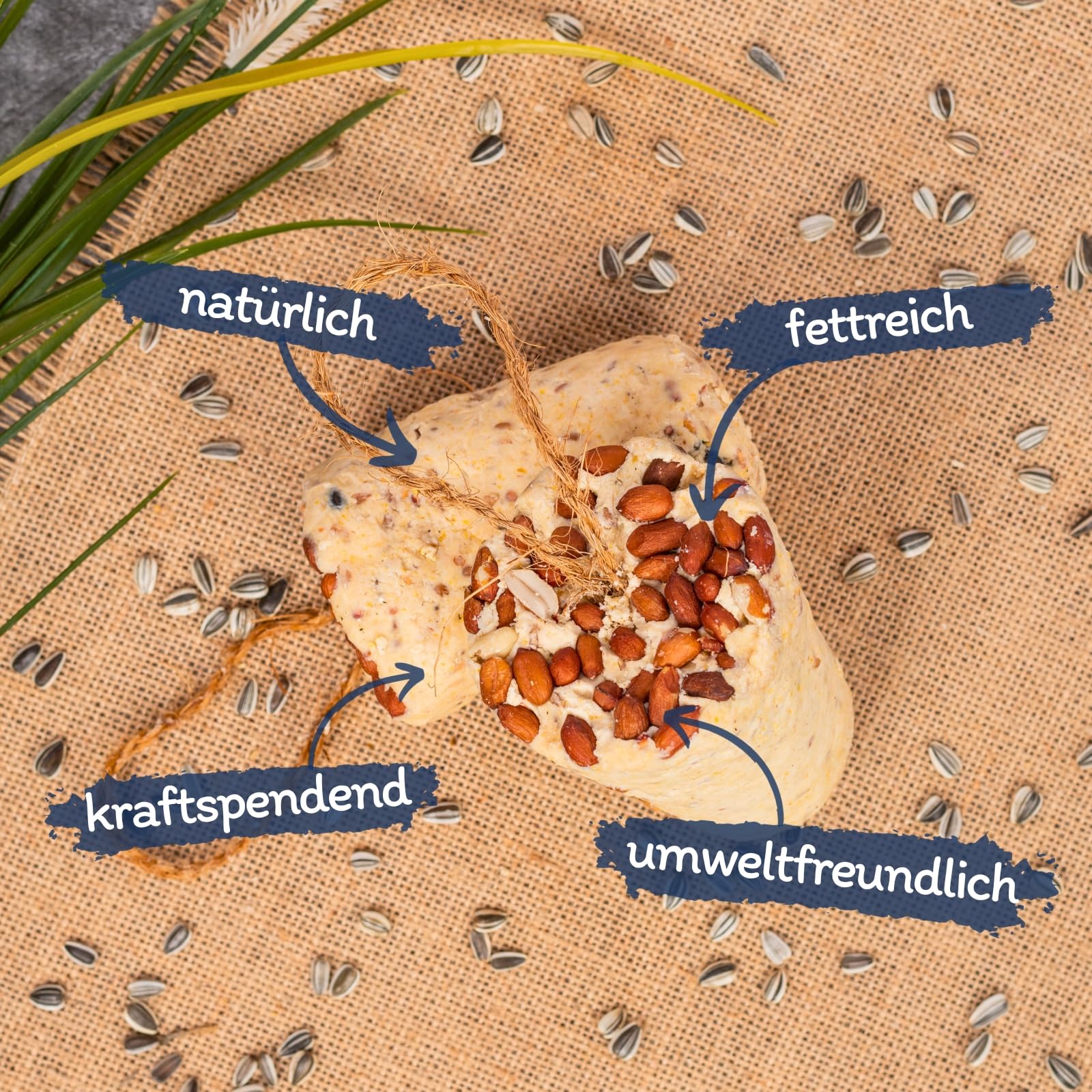 Lyra Pet® 3 x 12 STK. Energie Boost Nuss Riegel mit Erdnüssen Fettfutter | Wertvolle Energiequelle für Wildvögel - Fettreiches, ganzjähriges Vogelfutter mit Erdnussbutter, Saaten & Kernen