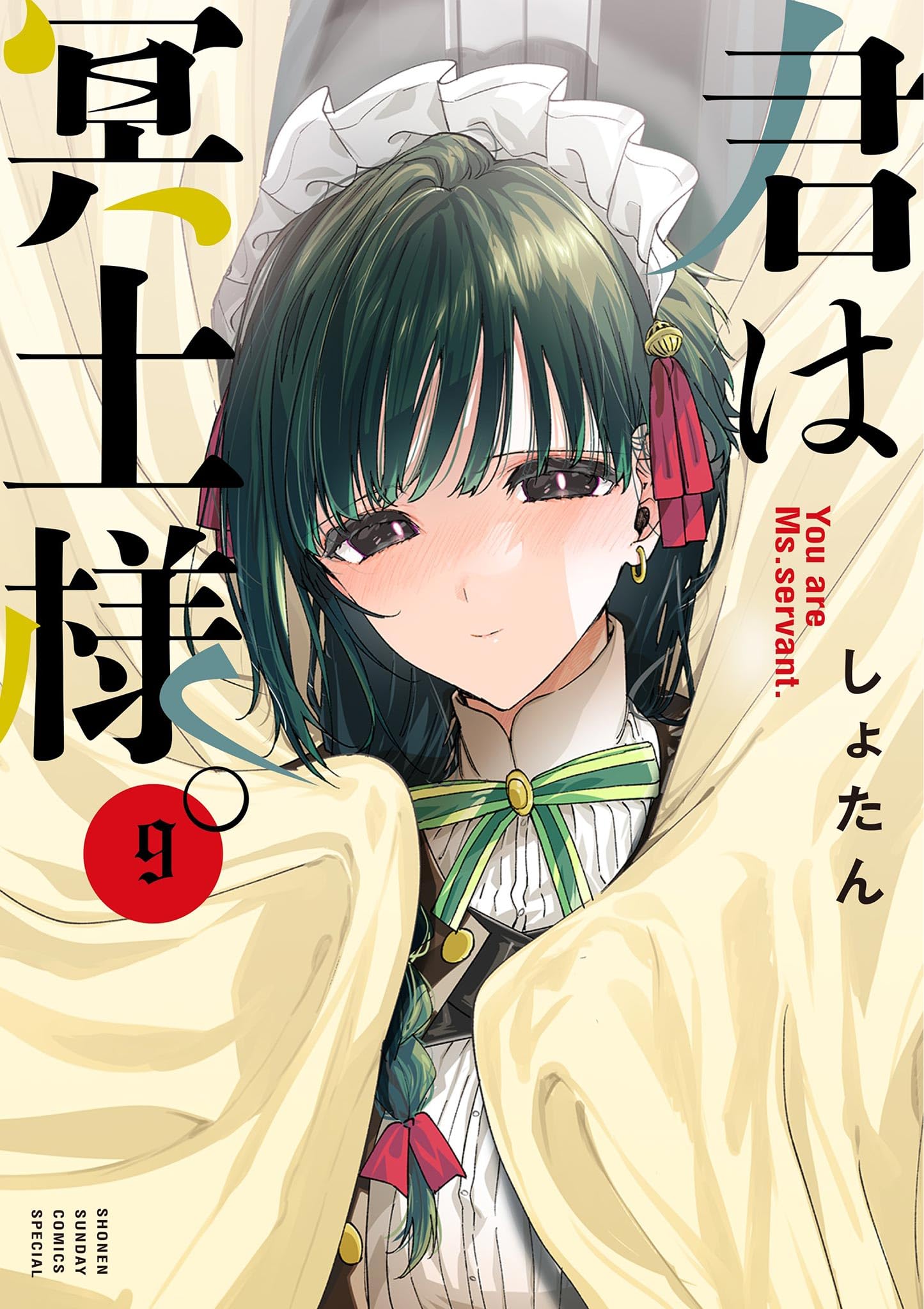 Amazon.co.jp: しょたん: books, biography, latest update 