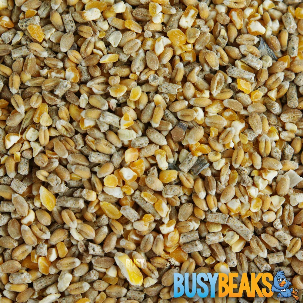 BusyBeaks Chicken Corn Extra | Premium Grade Poultry Feed | Nutritious Oyster Shell, Layers Pellets, Fibre Wheat & Split Maize | High Energy, Protein-Rich Food Mix | Perfect Year-Round Seed (7.5kg)