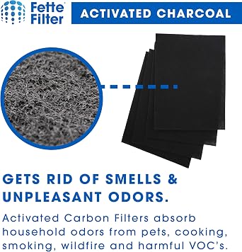 Fette Filter - 2 Filter + 8 Carbon Filter 115115 Premium HEPA H13 Filter Compatible with Winix Filter A 115115 Size 21 Plasma Wave Air Purifier AM90 P300 5300 5500 5300-2 6300-2 6300 C909 9800 C535.
