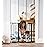 Regalo Safety 38.5 Inch Extra Wide Baby Gate for Doorways & Bottom of Stairs, Pressure Mount Safety Gate for Babies, Toddlers & Pets, Tested & Safe, American Designed, Family Owned, Black